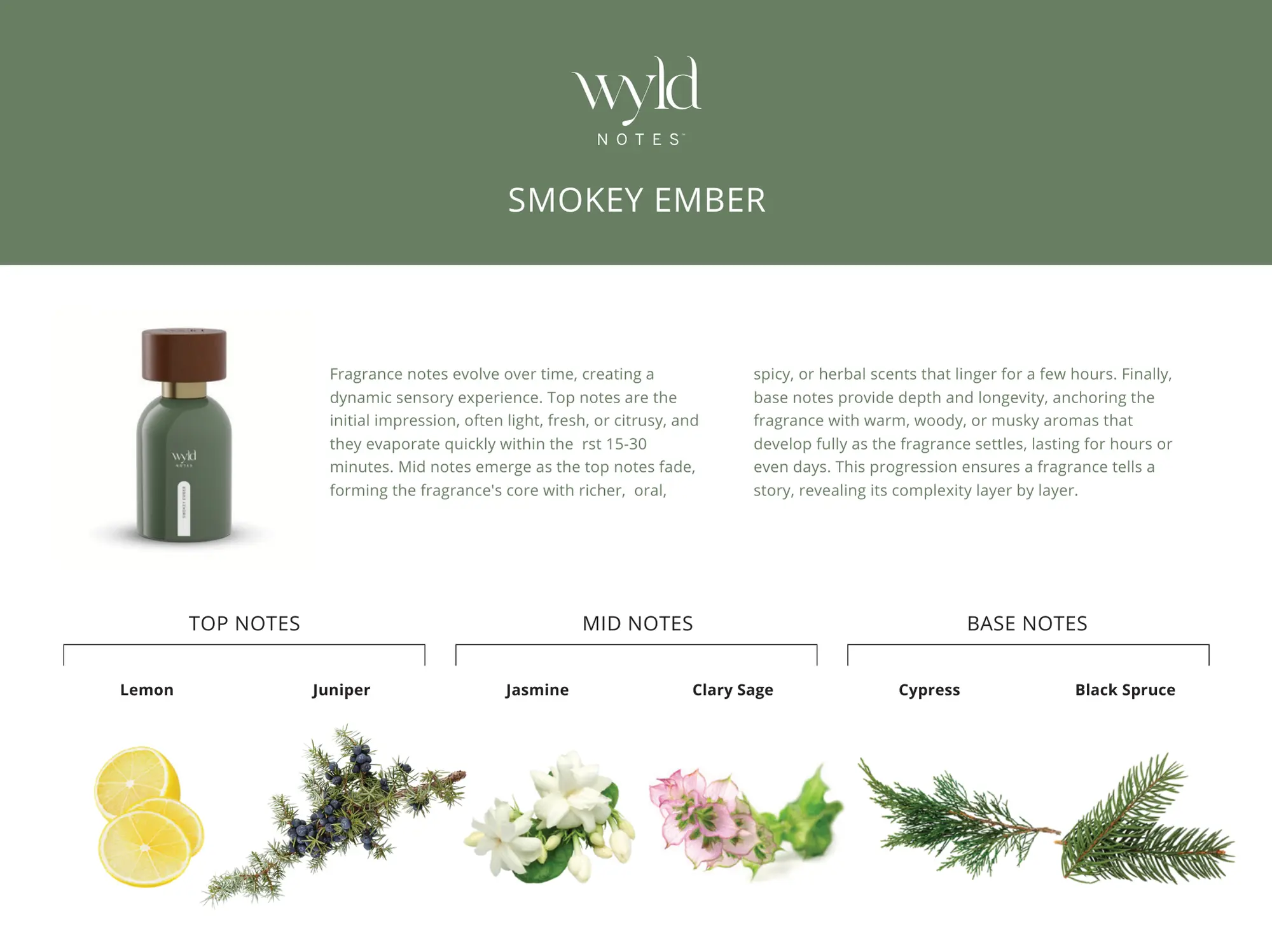 Übersicht der Duftnoten von Smokey Ember