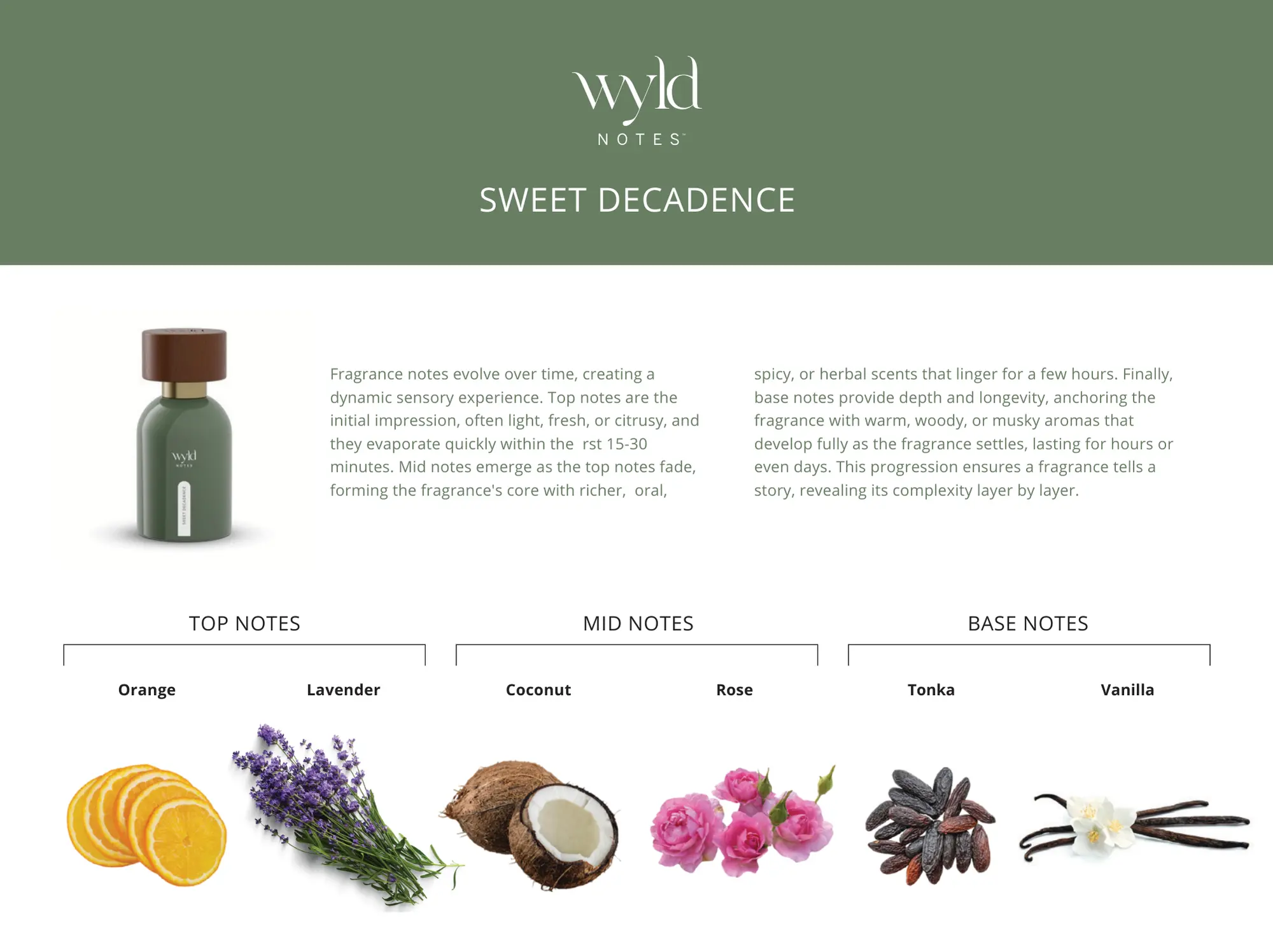 Übersicht der Duftnoten von Sweet Decadence