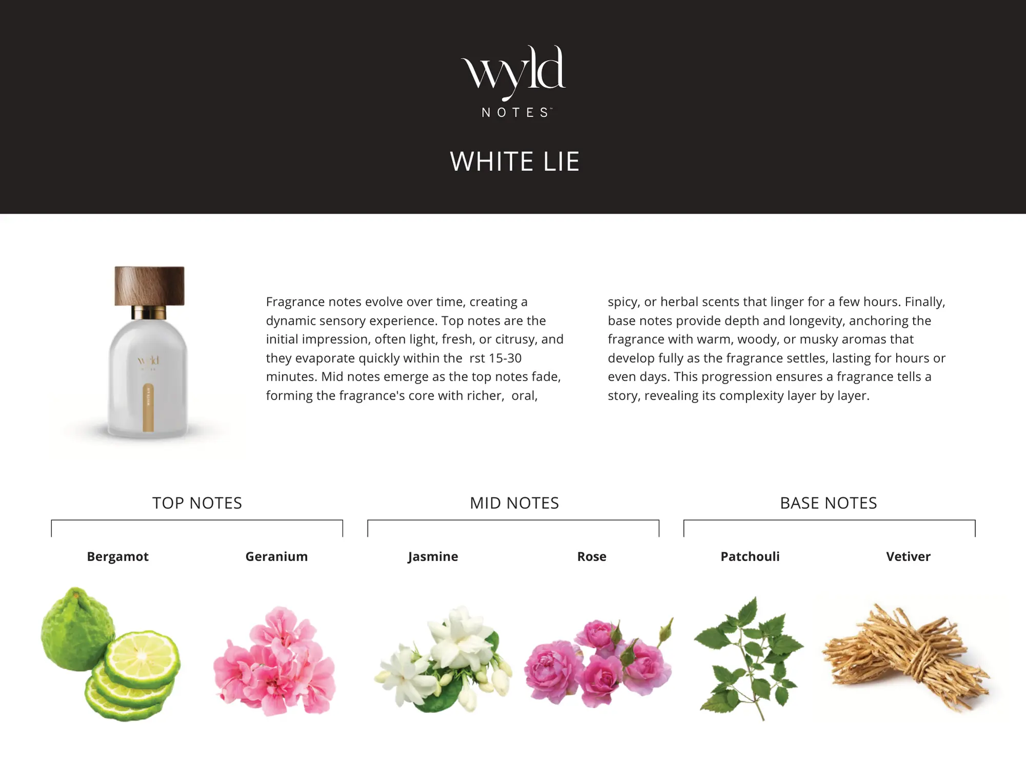 Übersicht der Duftnoten von White Lie